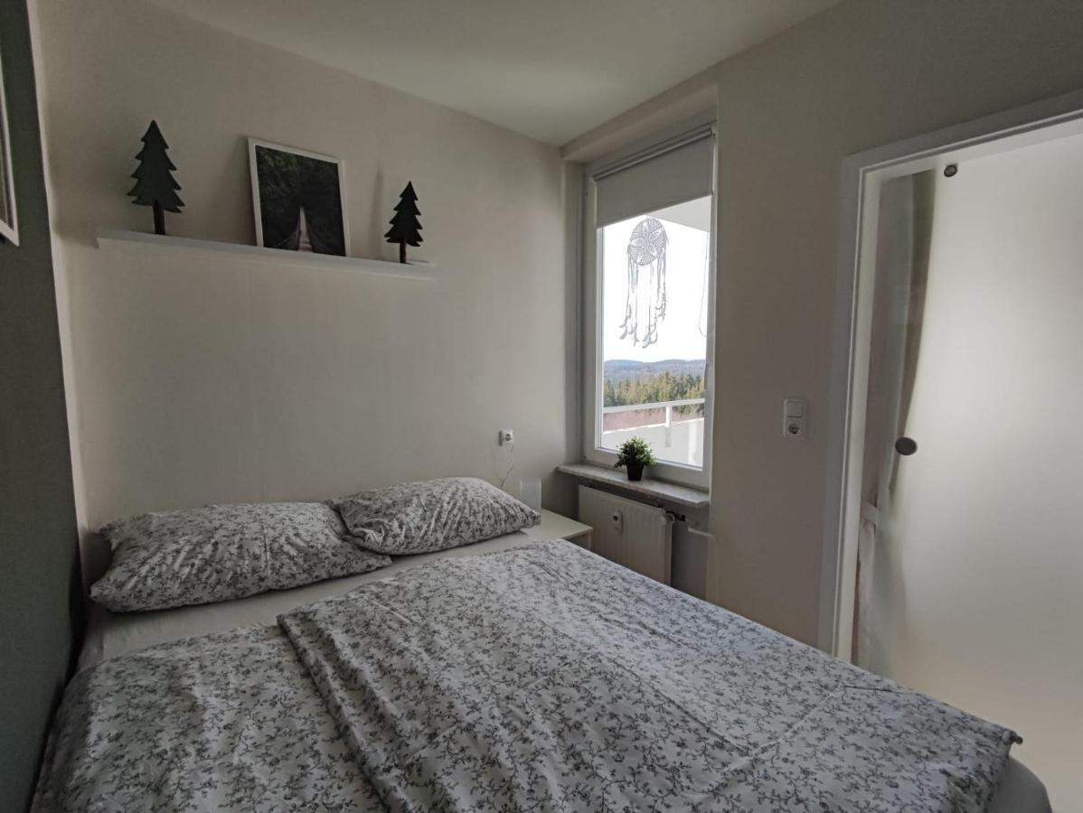 Ferienwohnung Skadi, Hahnenklee Γκόσλαρ Εξωτερικό φωτογραφία