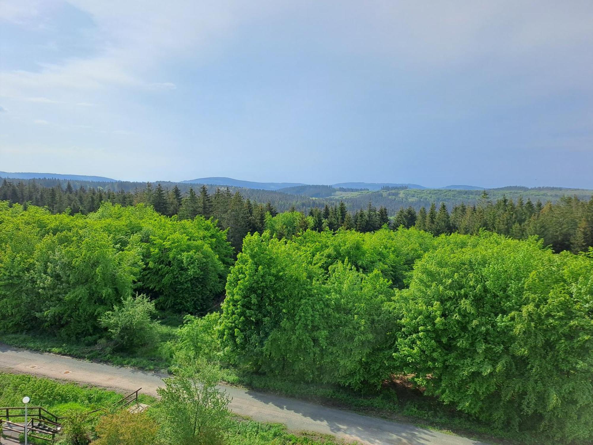 Ferienwohnung Skadi, Hahnenklee Γκόσλαρ Εξωτερικό φωτογραφία